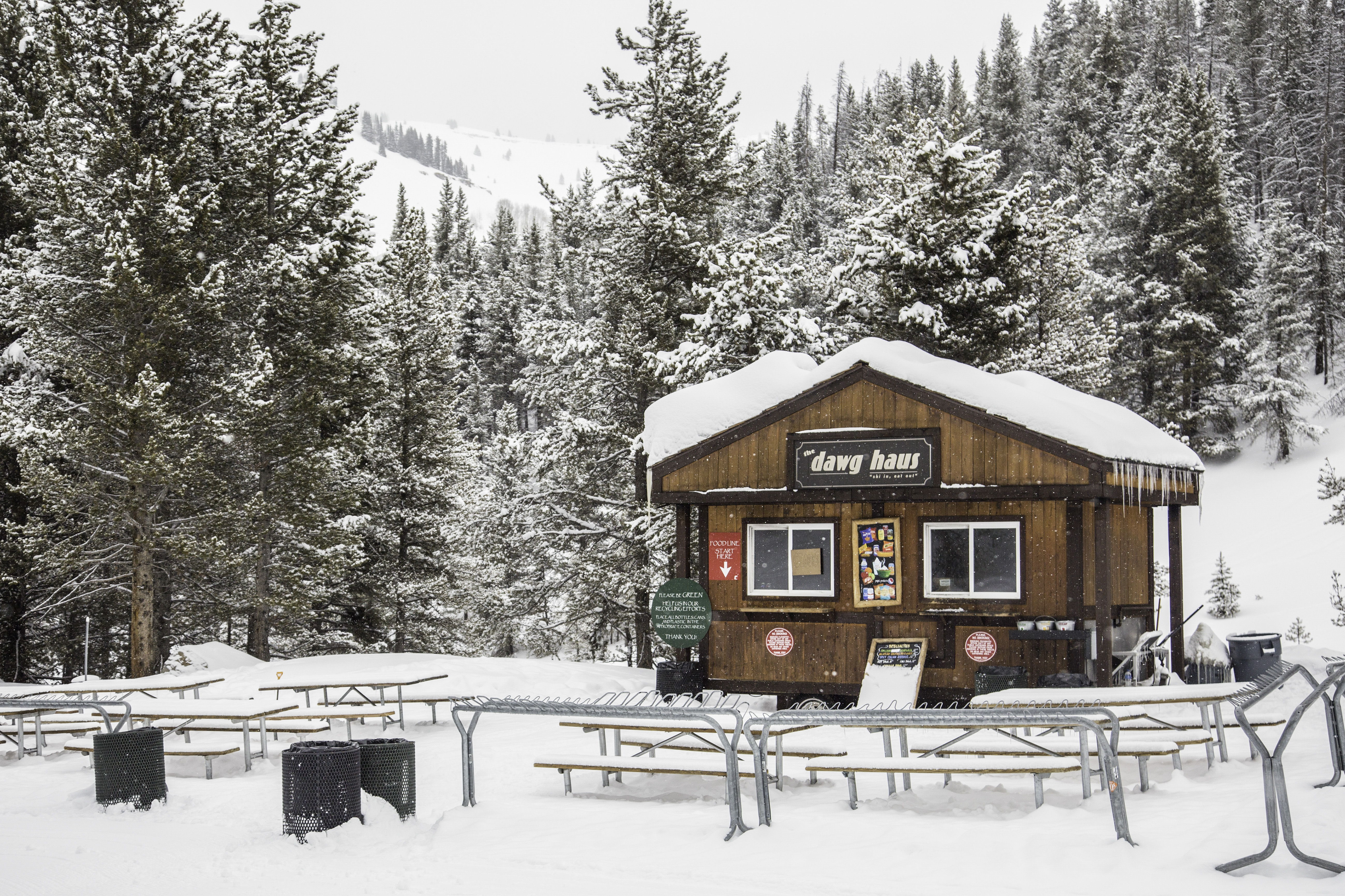 Outdoor Quick Service dining in Vail