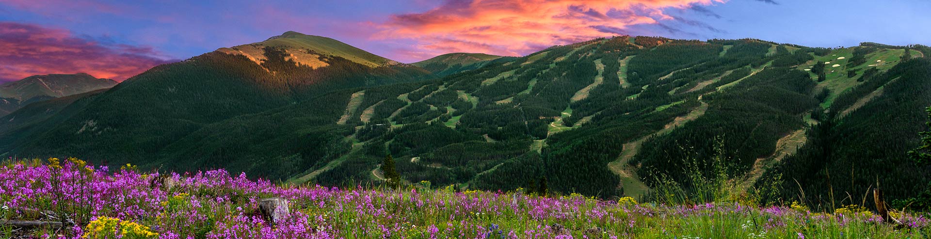 Keystone Dercum Mountain in summertime