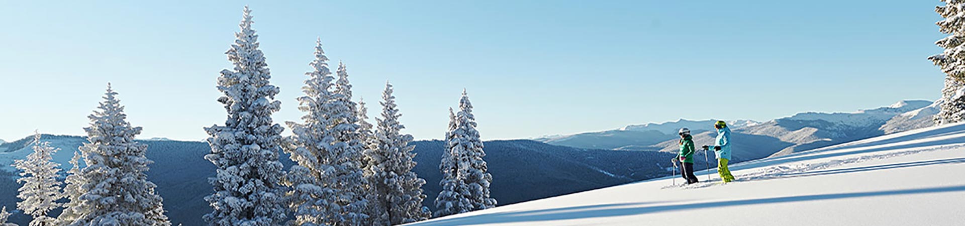 Two skiers in bowl with snowy trees and blue sky 1920x400